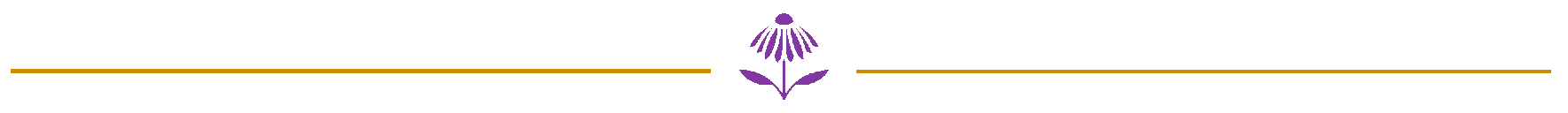 yellow divider line with purple coneflower illustration in the center