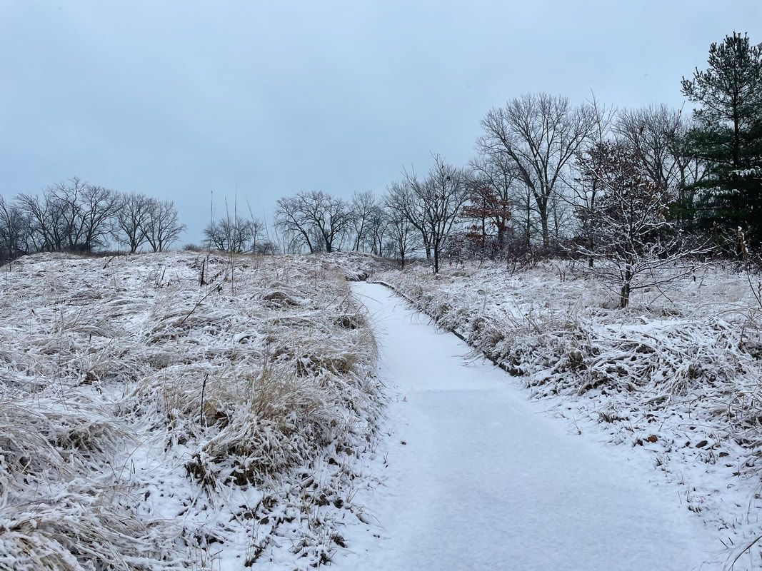 photo of the santuary path in winter with tall grasses covered in snow and scattered trees in the distance.